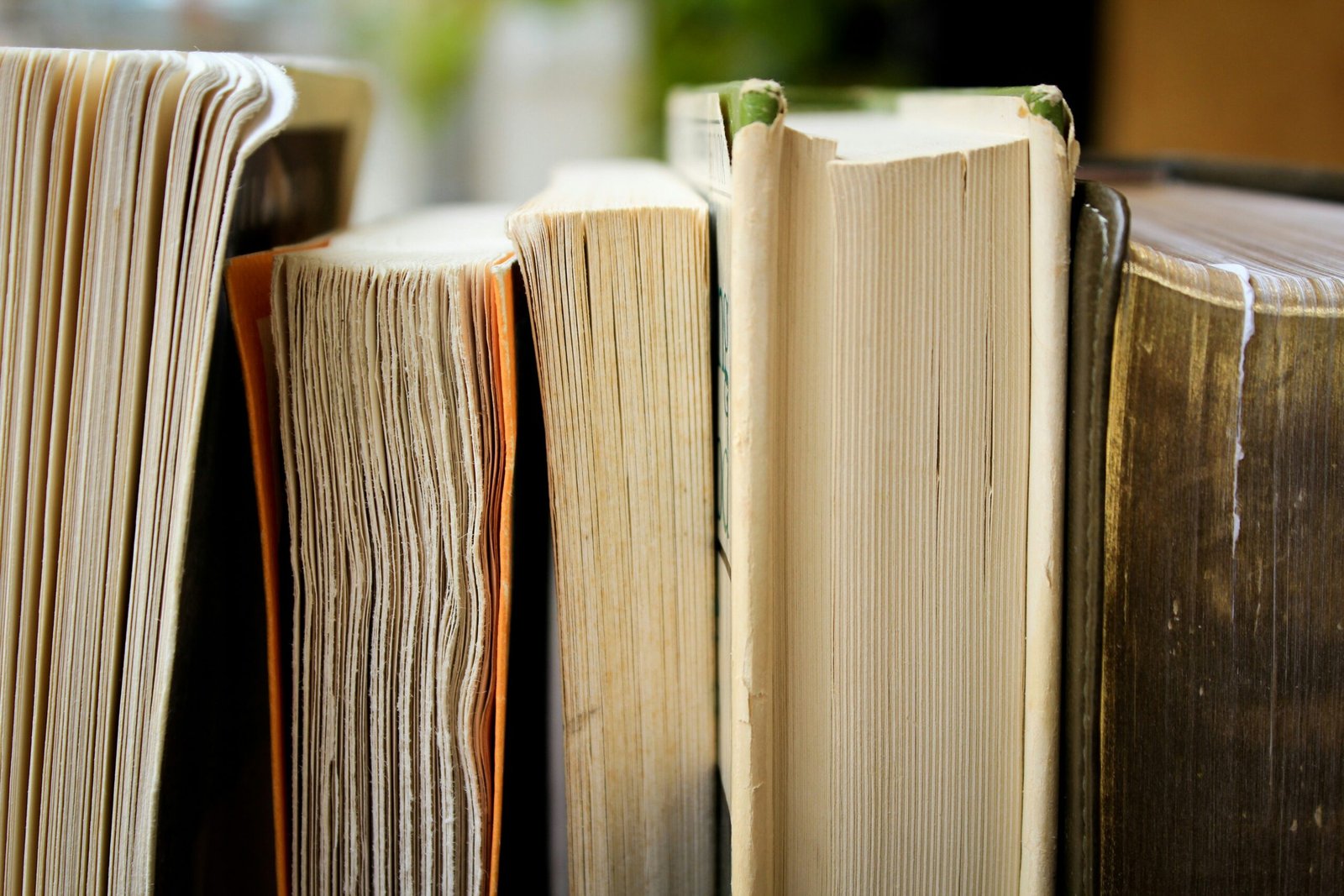 macro photo of five assorted books